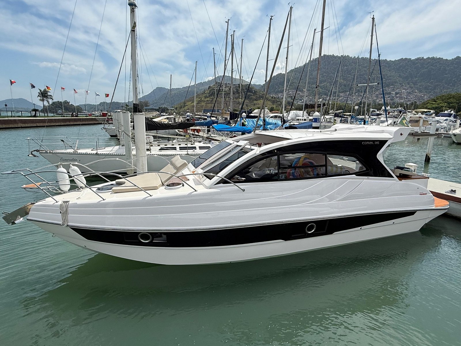 RUNNER 290