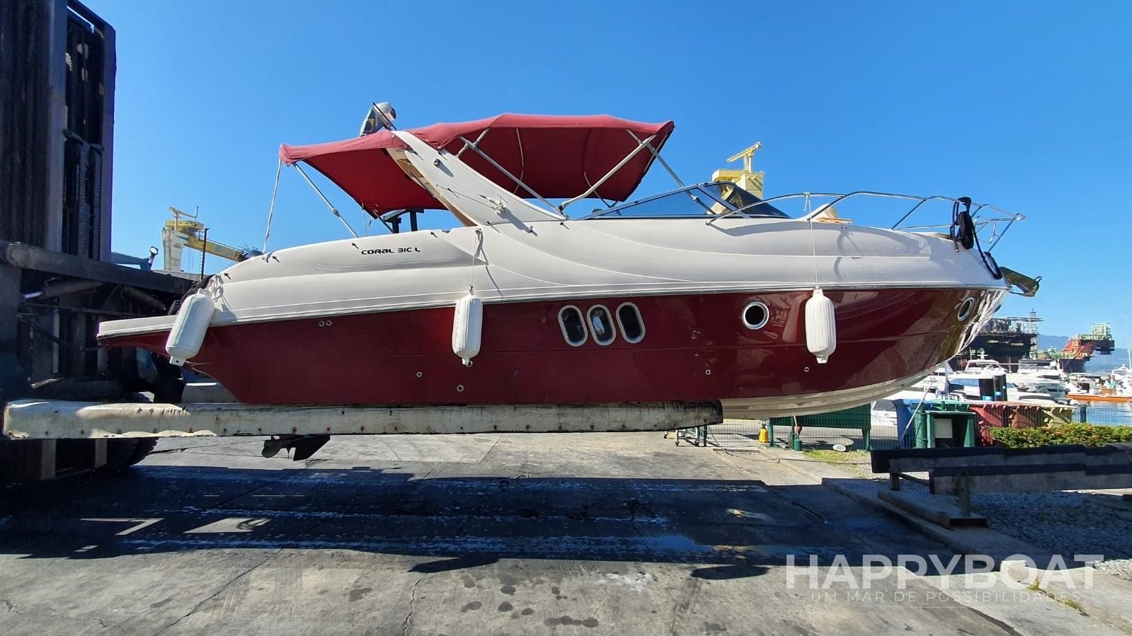CORAL 31C
